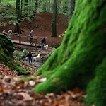 Le Heron 28pers, Malmedy- Cinema, Balneo, Sauna, Jardin