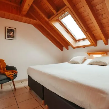 Le Heron 28pers, Malmedy- Cinema, Balneo, Sauna, Jardin Chalet Malmedy