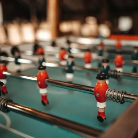 Le Heron 28pers, Malmedy- Cinema, Balneo, Sauna, Jardin Alpehytte Malmedy