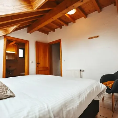 Le Heron 28pers, Malmedy- Cinema, Balneo, Sauna, Jardin Chalet Malmedy