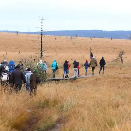 Le Heron 28pers, Malmedy- Cinema, Balneo, Sauna, Jardin