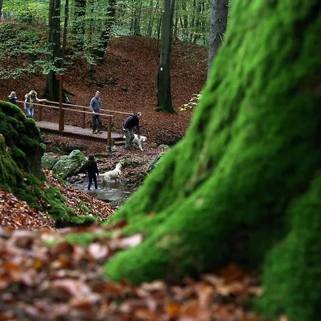 Le Heron 28pers, Malmedy- Cinema, Balneo, Sauna, Jardin