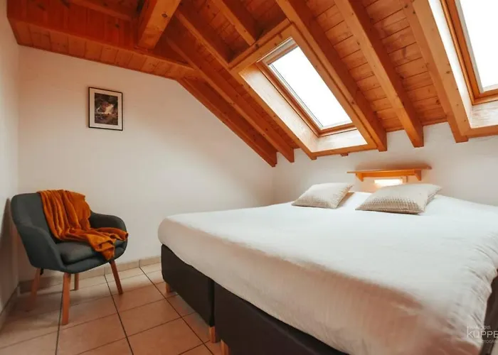 Le Heron 28pers, Malmedy- Cinema, Balneo, Sauna, Jardin 木屋 马尔梅迪