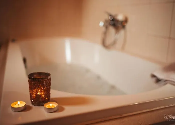 Le Heron 28pers, Malmedy- Cinema, Balneo, Sauna, Jardin