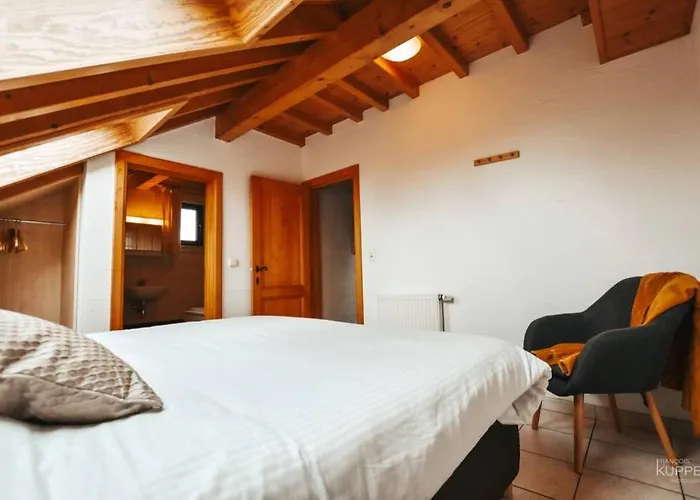 Le Heron 28pers, Malmedy- Cinema, Balneo, Sauna, Jardin 木屋 马尔梅迪