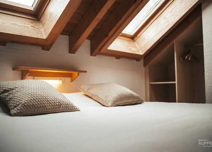 木屋 Le Heron 28pers, Malmedy- Cinema, Balneo, Sauna, Jardin