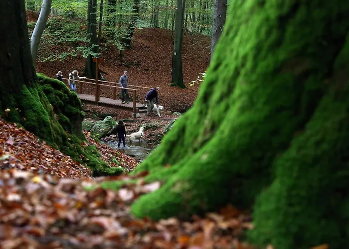 Le Heron 28pers, Malmedy- Cinema, Balneo, Sauna, Jardin